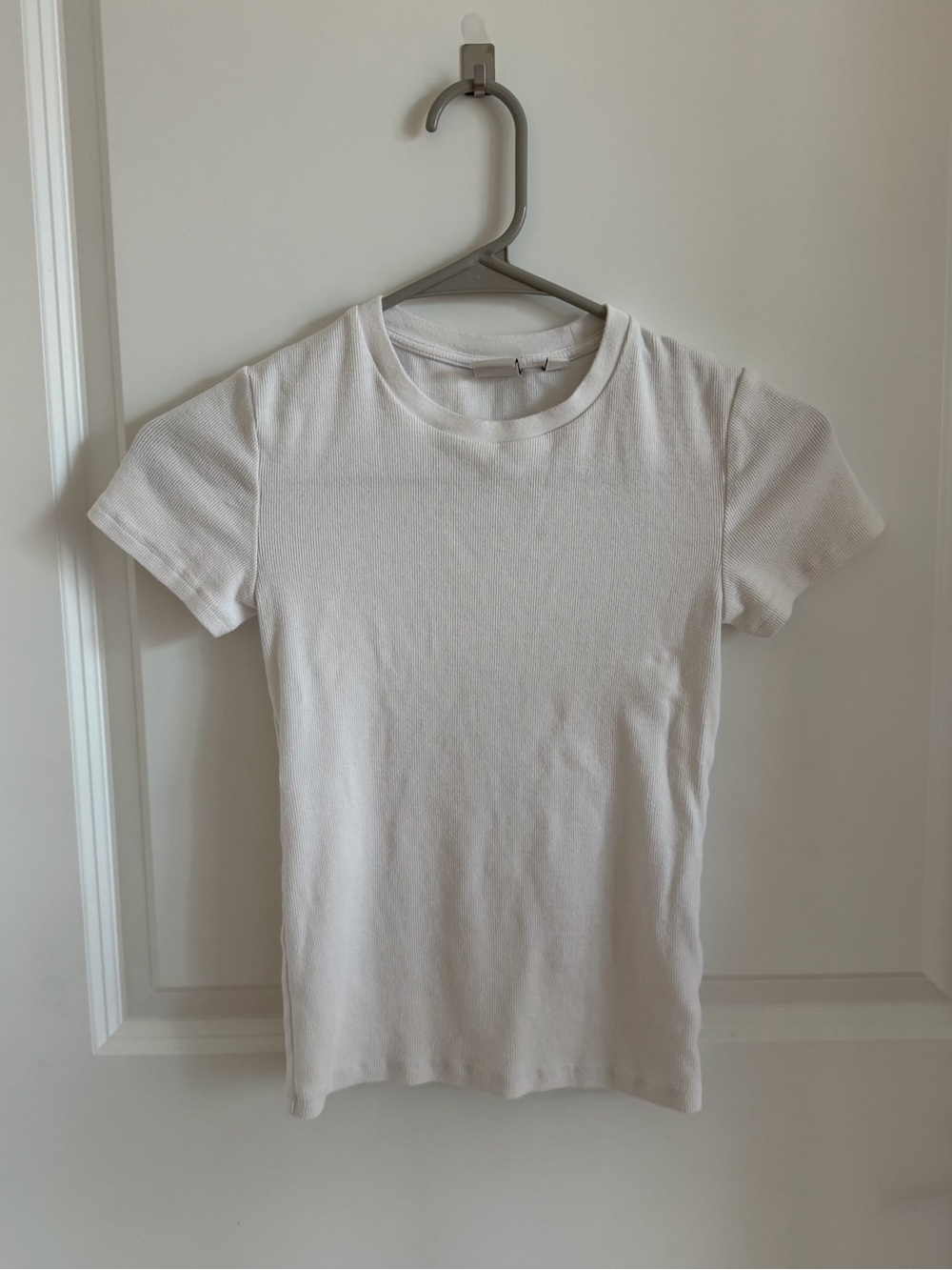 Aritzia Homestretch Ribbed Tee